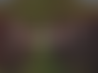 Commercial Barndominiums: From Wineries to Wedding Venues — What You Need to Know Before You Build