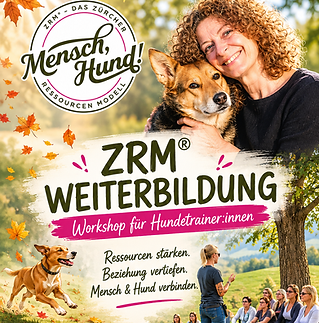 KI BIld Hochkant Hundetrainer.png