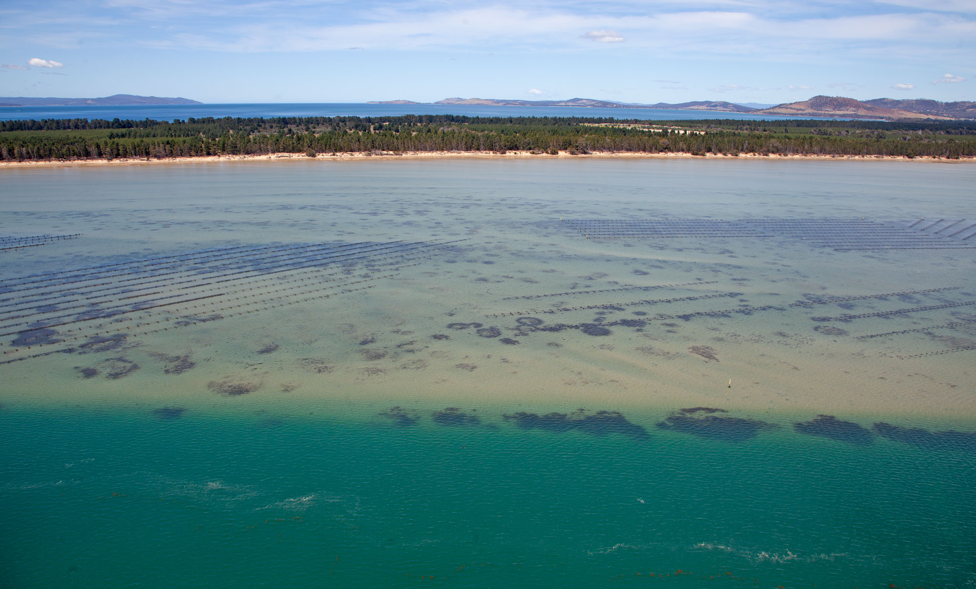 Pittwater Tasmanian Oyster Co.