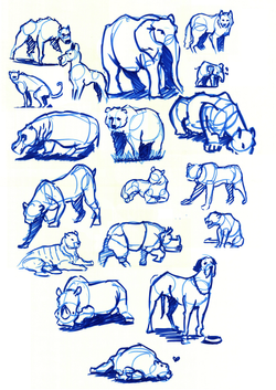 animal_drawing_2.png