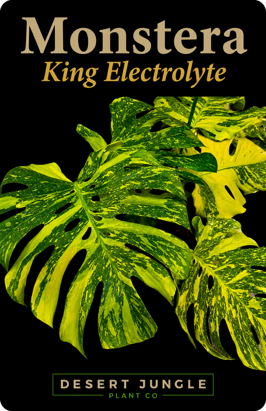 TC Monstera King electrolyte