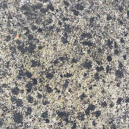Driveway black spots