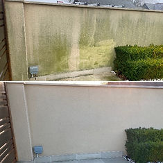 Render before and after soft washing