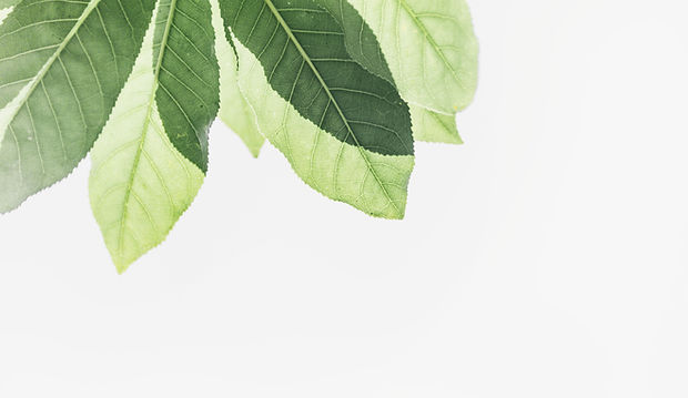 pexels-min-an-1650035_edited.jpg