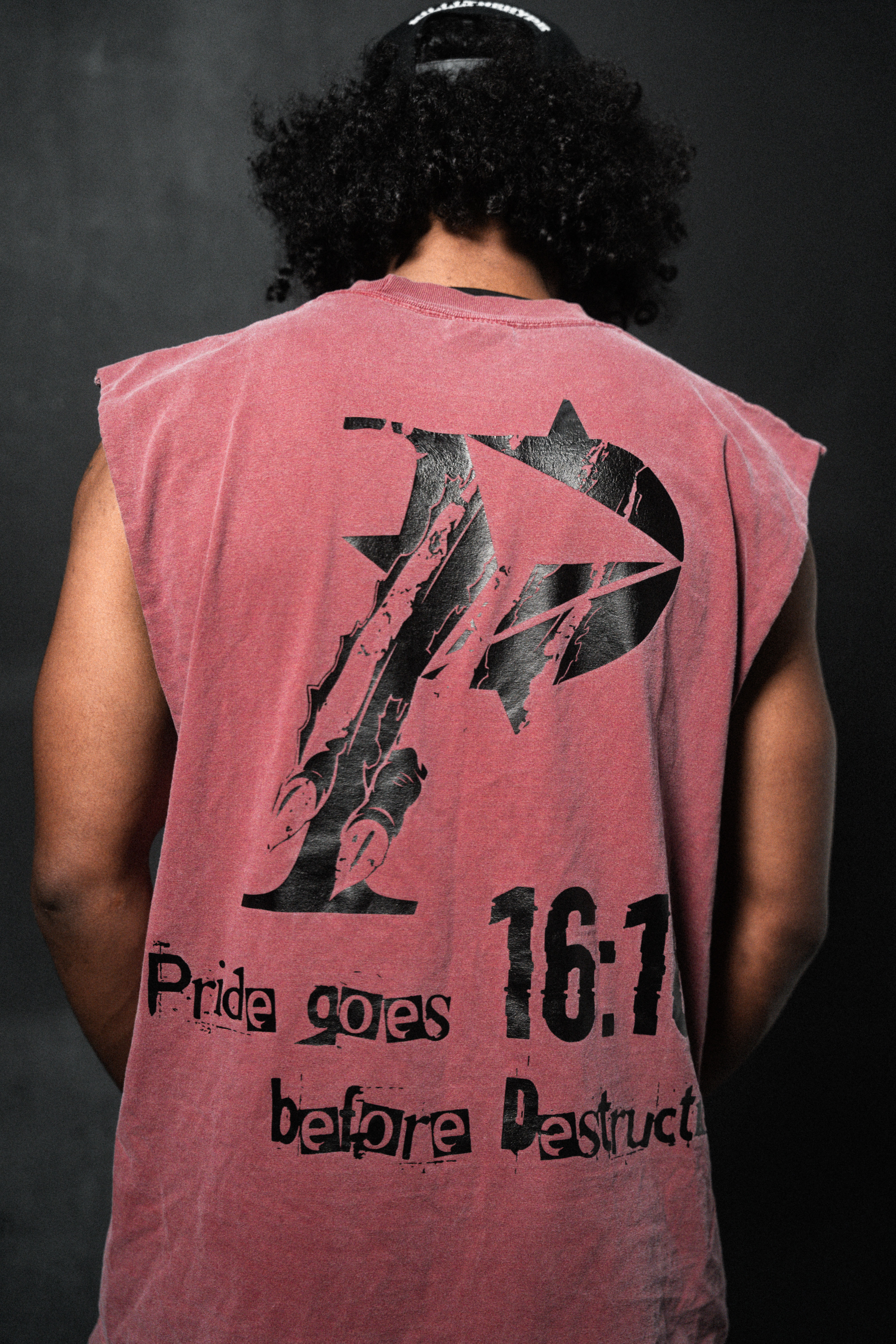 Proverbs 16:18 Tee (NS)