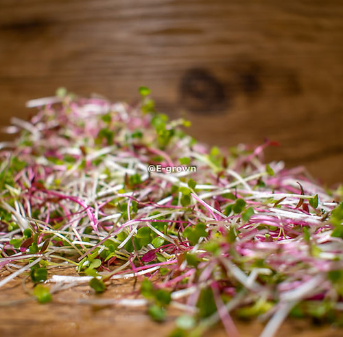 mixes 7 (4 of 5).jpg