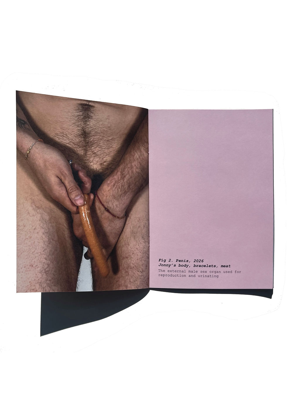Thumbnail: Meat Rack Zine Vol 6