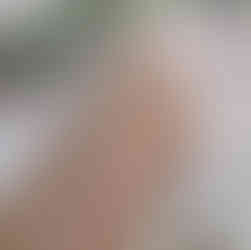 Schedule Your Commercial Roof's Deep Cleaning with Roof Partners