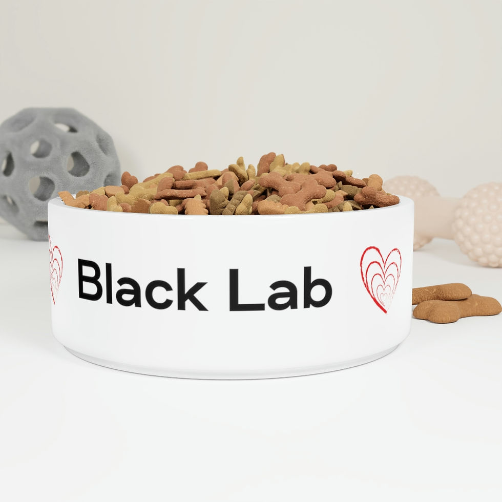 Love Love Love. Black Lab. Pet Bowl