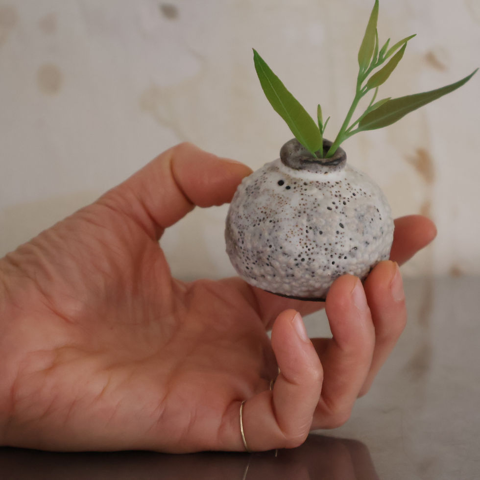 תמונה ממוזערת: כלי אלמוגי לפרח אחד