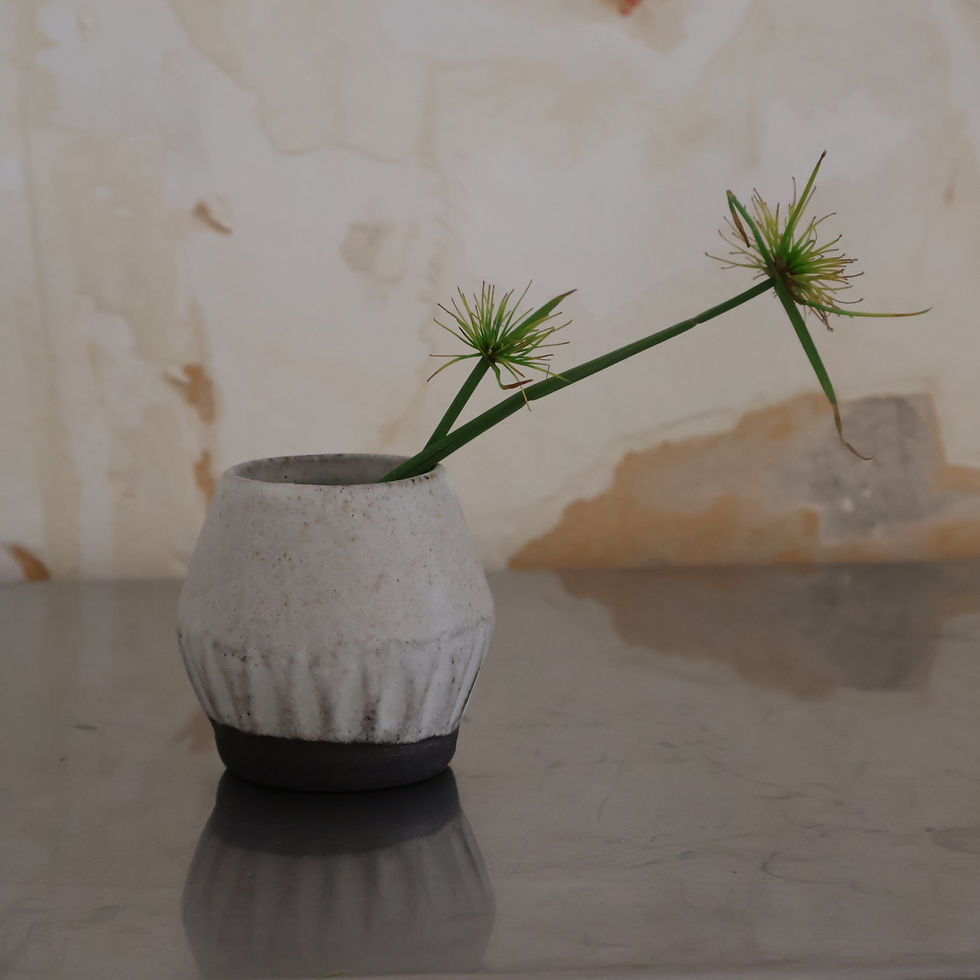 וואזה קטנה עם פסים