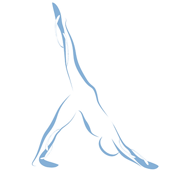 Yoga Online Coach Professional
