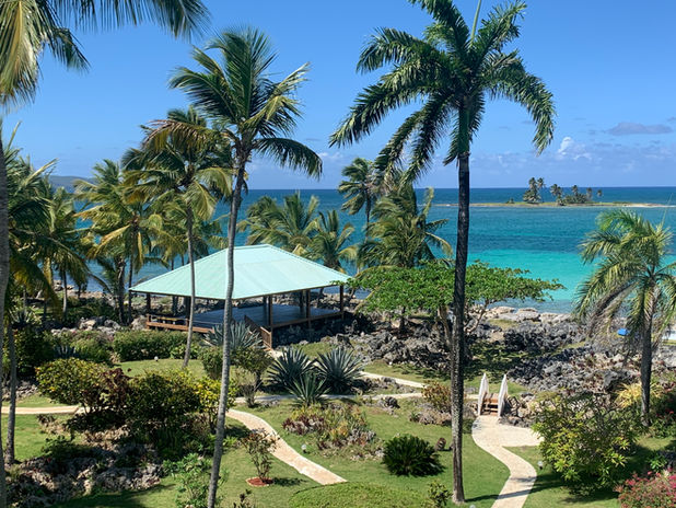 Yoga Aerial Yoga Mindfulness Retreat 2023 Dominican Republic