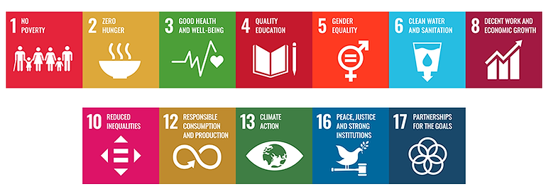 Sustainable Development Goals I Centre for Research in Health and Development | CRIHDev