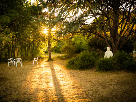 Golden Summer Light Buddha