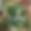 Thumbnail: Watercolour fantasy illustration