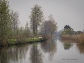 Moervaart