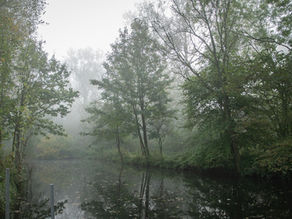 Mist in Puyenbroeck