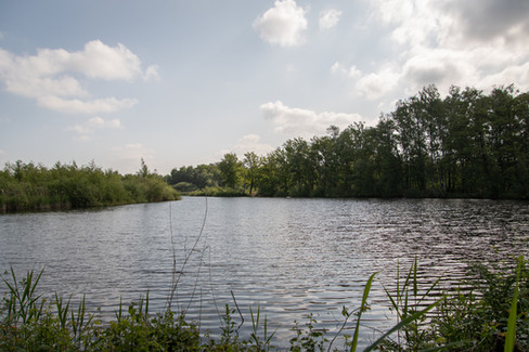 De Maten