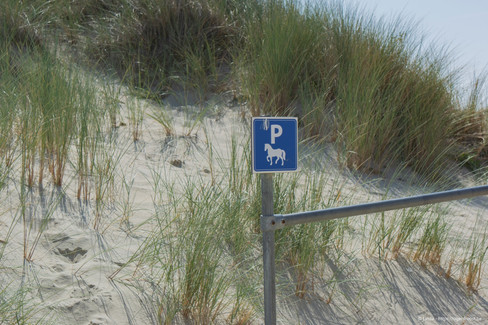Een parking voor paarden...