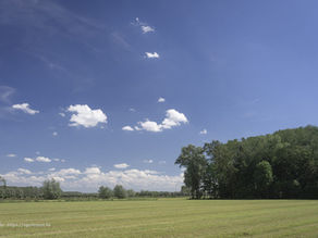 Zomerlandschap