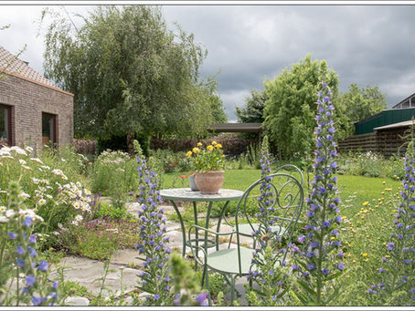 Zomer in de tuin