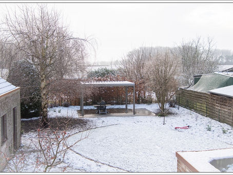 Winter in de tuin