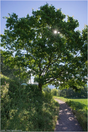 De zon schijnt uitnodigend.