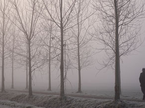 Mist