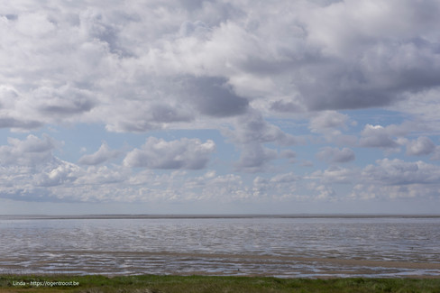 De Waddenzee in de ochtendzon.