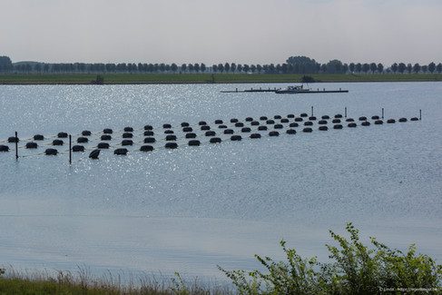 Het Veerse Meer aan de Deltaweg.
