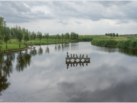 Reynaert in de Oudemanskreek
