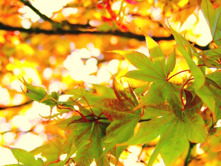 -いま辛いなら。いま息苦しいなら。-原点に立ち戻ろう。