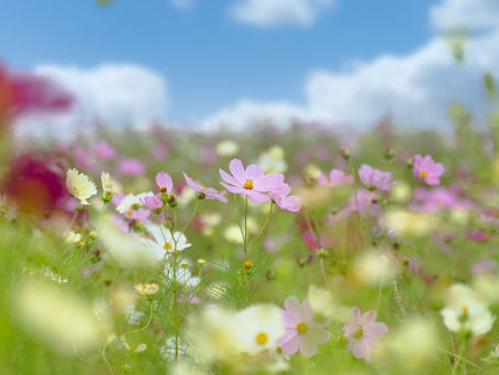 ときには心も体もゆるめよう。~頑張りすぎてしまうあなたへ~