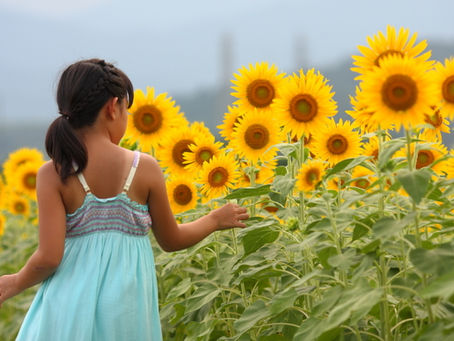 2016年8月14日【ブログ】人生をリフレーミングしてみませんか？