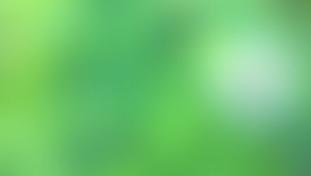 ホームページ移転のおしらせ