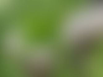 -自分へと意識を向けて生きよう-