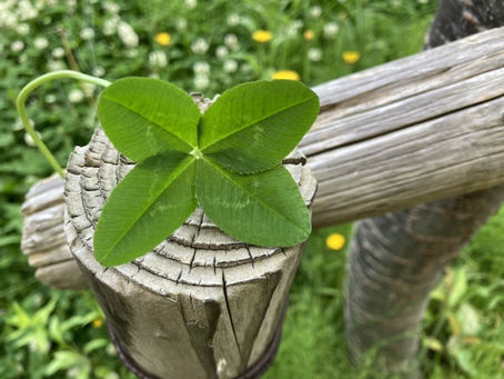-自分へと意識を向けて生きよう-