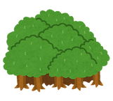 mori.png
