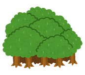 mori.png