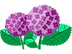 あじさい.png