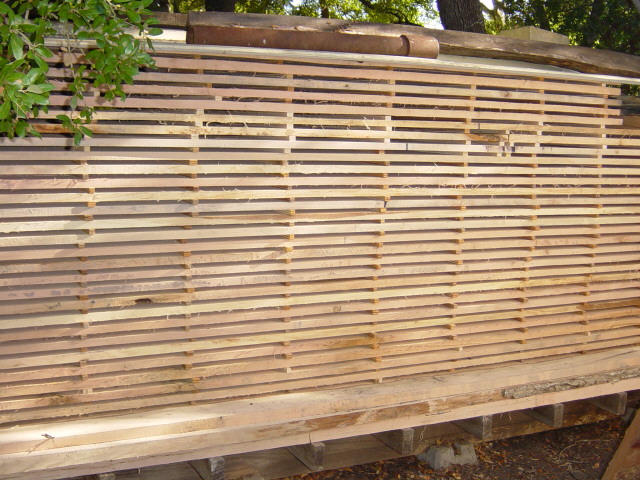 red oak, salado logs milling8985.jpg