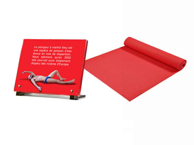 tapis rouge 3