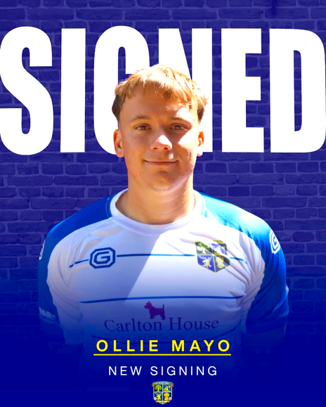 OLLIE BACK WITH THE BRICKIES