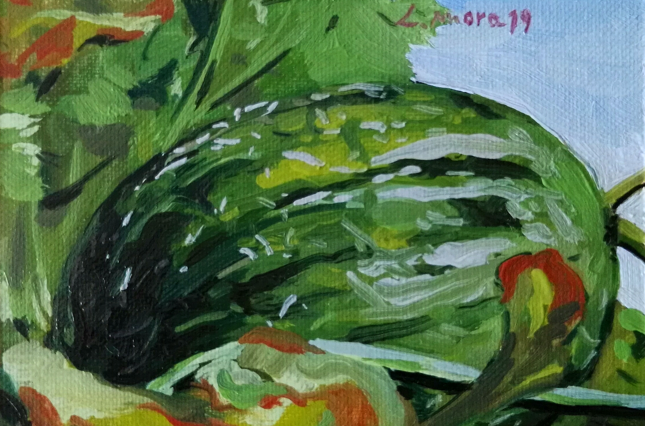 "Melón. Colección los Fruitis"