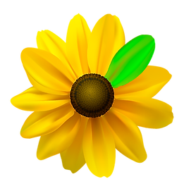 BlackEyedSusan_greenpetal.png