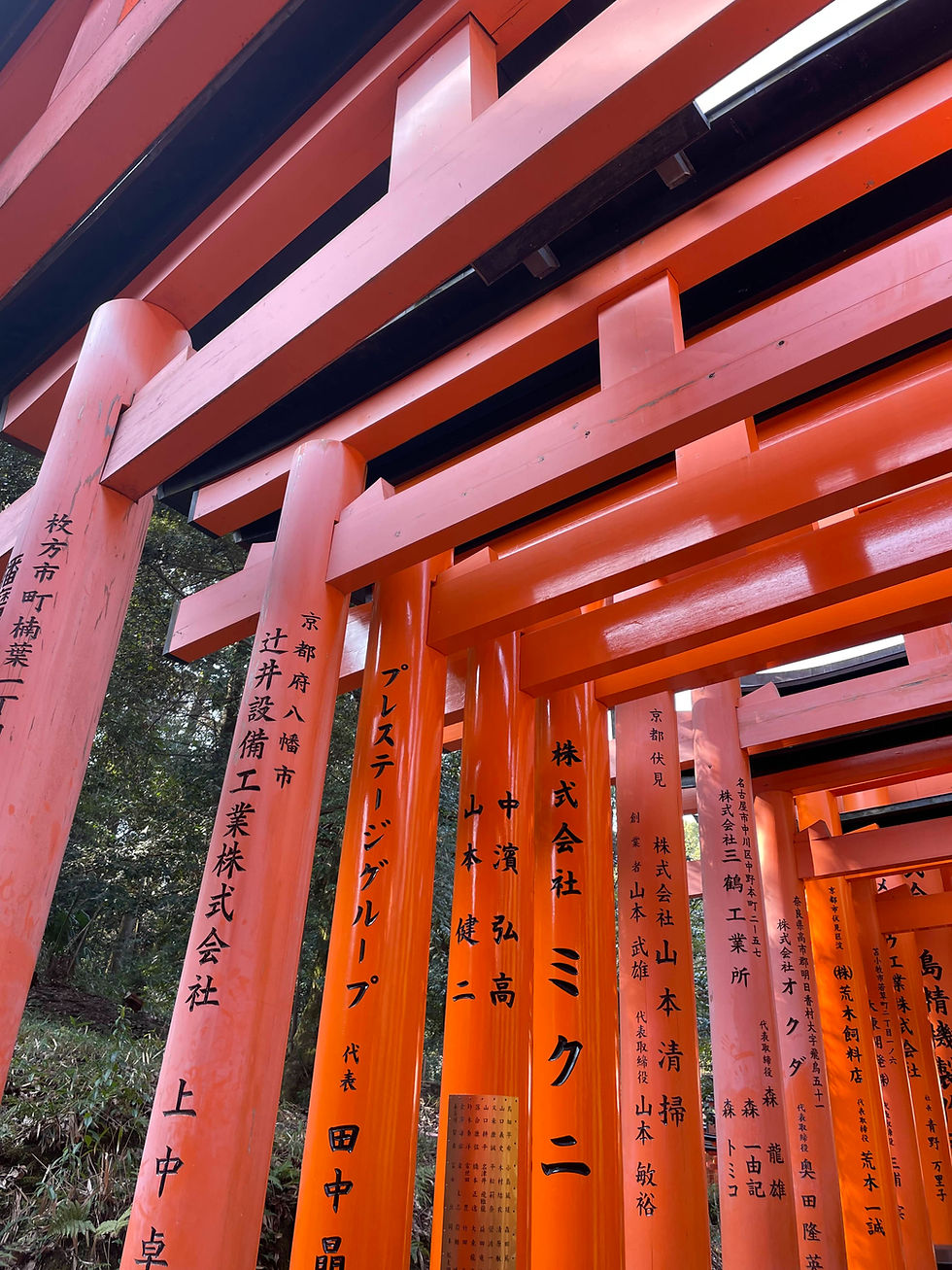 Die Philosophie hinter Reiki, Buddhismus und Shintoismus, Essenz von Reiki, Japan, Torii