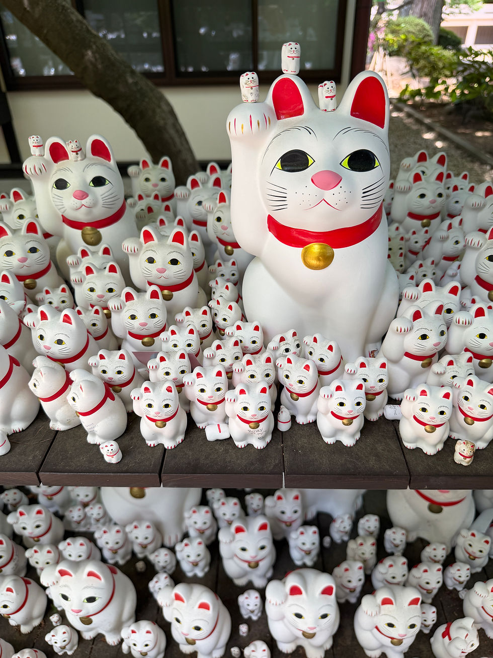 Gotokuji Tempel Tokio: Der berühmte Katzentempel, Reisetipps Japan 2026, Ann-Sophie Bünting