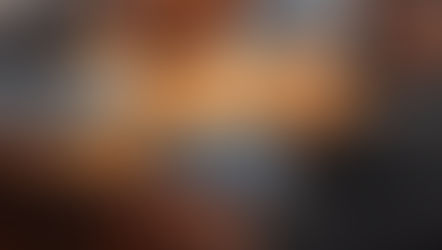 Wie kann ich die Bindung zu meinem Hund stärken?