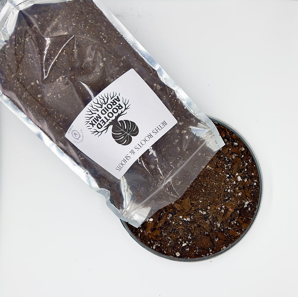 Thumbnail: Rooted Aroid Mix – 1 Gallon | Premium Handcrafted Soil Blend